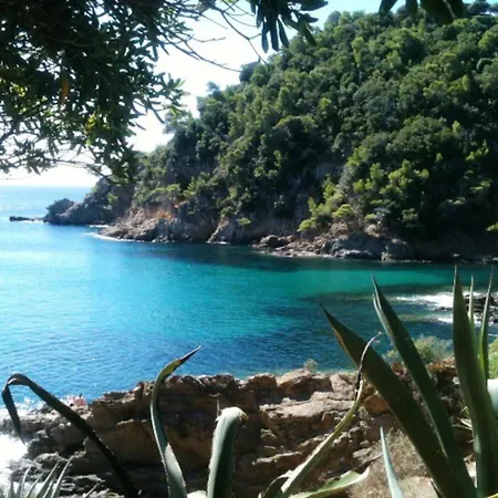 Joli Equipe, Et Centre 200m Apartment Cavalaire-sur-Mer